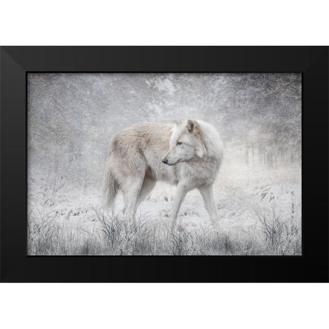 The Forest of Snow Black Modern Wood Framed Art Print by Parker, Kelley