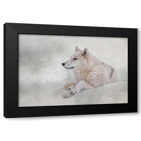 Snow Day Black Modern Wood Framed Art Print with Double Matting by Parker, Kelley