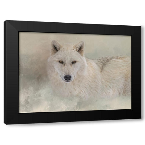 Snow Wolf Black Modern Wood Framed Art Print with Double Matting by Parker, Kelley