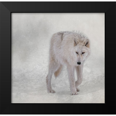 Snow Traveler Black Modern Wood Framed Art Print by Parker, Kelley