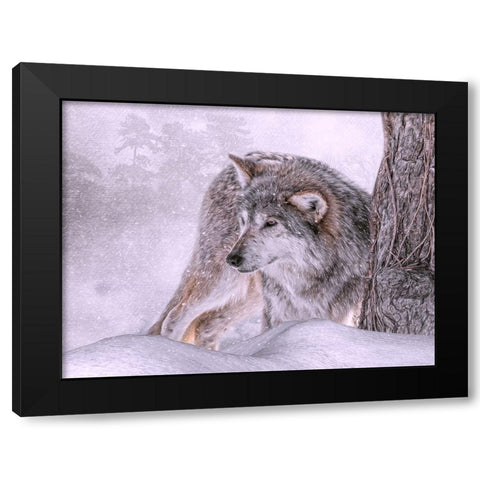 Winters First Hunt Black Modern Wood Framed Art Print with Double Matting by Parker, Kelley