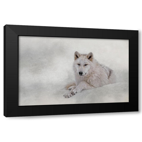 Winter Coat Black Modern Wood Framed Art Print by Parker, Kelley