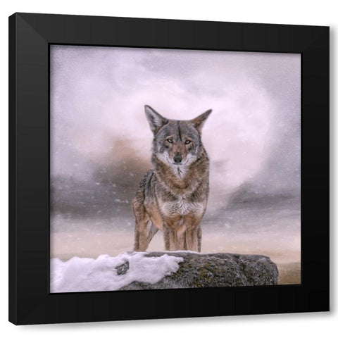 Welcoming Winter Black Modern Wood Framed Art Print with Double Matting by Parker, Kelley