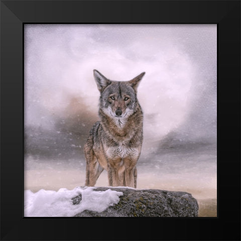 Welcoming Winter Black Modern Wood Framed Art Print by Parker, Kelley