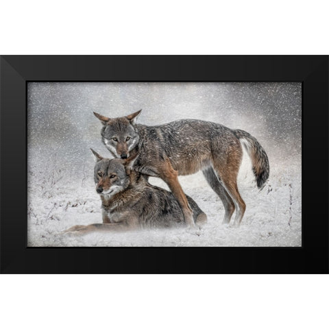 Shelter from the Storm Black Modern Wood Framed Art Print by Parker, Kelley