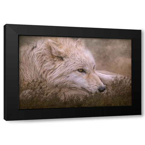 Taking a Break Black Modern Wood Framed Art Print with Double Matting by Parker, Kelley