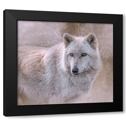 Spirit of the North Black Modern Wood Framed Art Print by Parker, Kelley