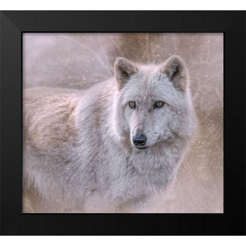 Spirit of the North Black Modern Wood Framed Art Print by Parker, Kelley