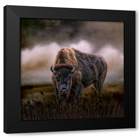Master of His Herd Black Modern Wood Framed Art Print with Double Matting by Parker, Kelley