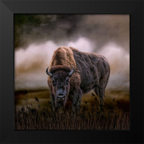 Master of His Herd Black Modern Wood Framed Art Print by Parker, Kelley