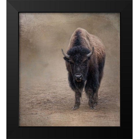 Miss Shaggy Black Modern Wood Framed Art Print by Parker, Kelley