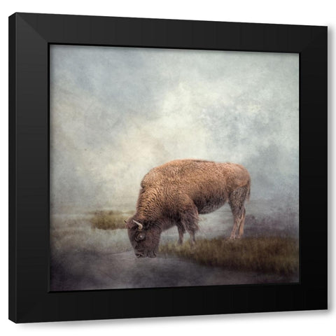 At the Watering Hole Black Modern Wood Framed Art Print with Double Matting by Parker, Kelley
