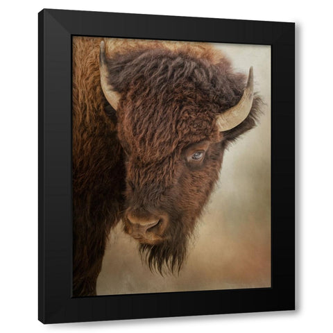 Eye of the Bison Black Modern Wood Framed Art Print with Double Matting by Parker, Kelley