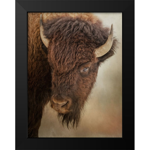 Eye of the Bison Black Modern Wood Framed Art Print by Parker, Kelley