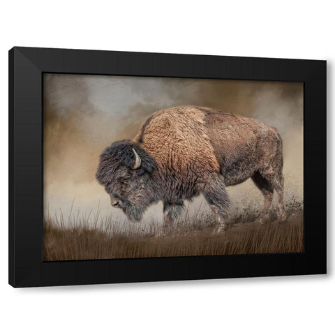 Where the Bison Roam Black Modern Wood Framed Art Print with Double Matting by Parker, Kelley