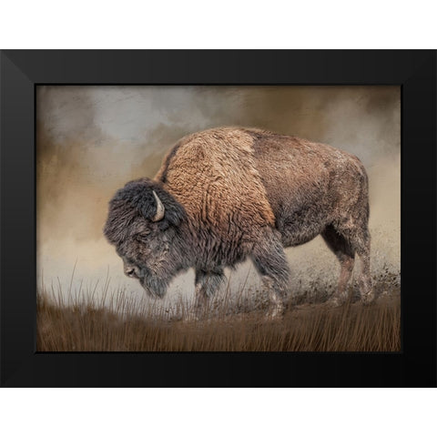 Where the Bison Roam Black Modern Wood Framed Art Print by Parker, Kelley