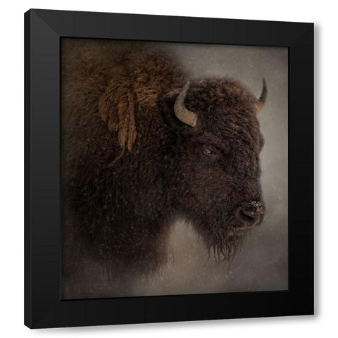 Deep Freeze Black Modern Wood Framed Art Print by Parker, Kelley