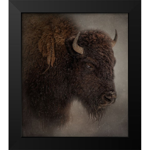 Deep Freeze Black Modern Wood Framed Art Print by Parker, Kelley