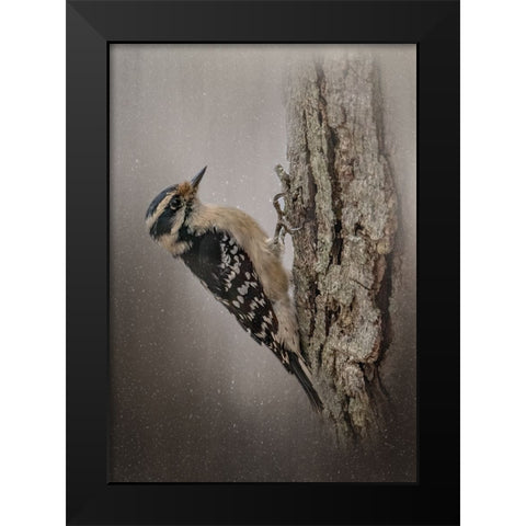 Little Carpenter Black Modern Wood Framed Art Print by Parker, Kelley