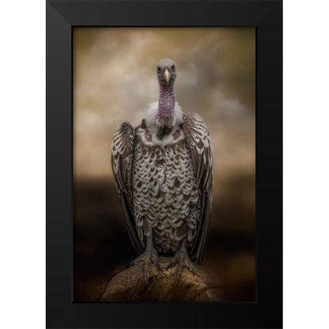Look Into My Eyes Black Modern Wood Framed Art Print by Parker, Kelley