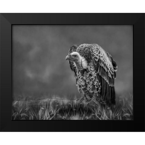 The Scavenger Black Modern Wood Framed Art Print by Parker, Kelley