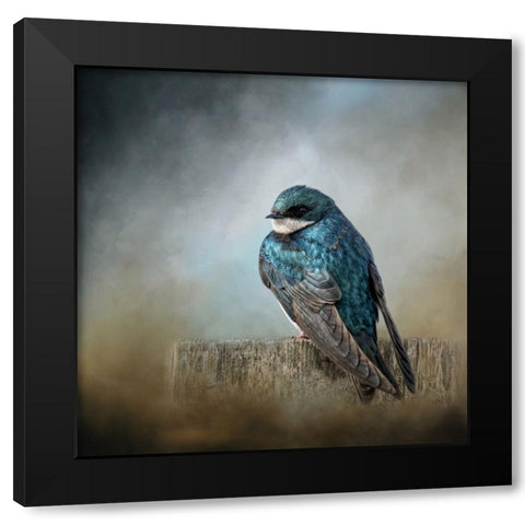 Pretty Boy Blue Black Modern Wood Framed Art Print by Parker, Kelley