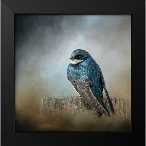 Pretty Boy Blue Black Modern Wood Framed Art Print by Parker, Kelley