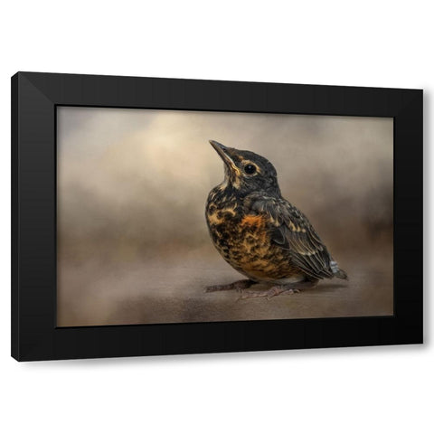 First Outing Black Modern Wood Framed Art Print by Parker, Kelley