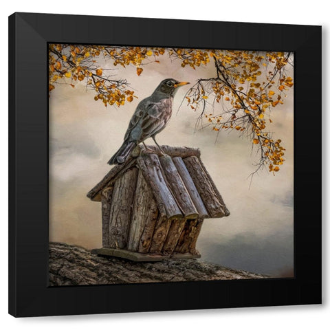 A Place to Perch Black Modern Wood Framed Art Print with Double Matting by Parker, Kelley