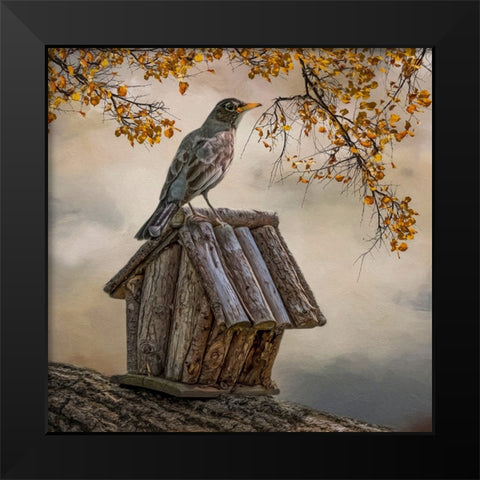 A Place to Perch Black Modern Wood Framed Art Print by Parker, Kelley