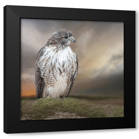Always on Alert Black Modern Wood Framed Art Print by Parker, Kelley