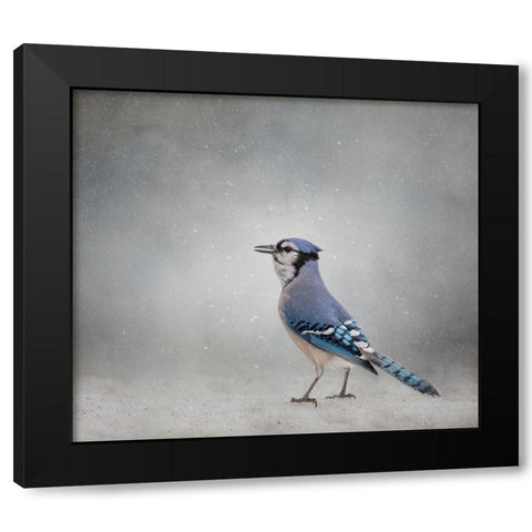 Frosty Morning Black Modern Wood Framed Art Print by Parker, Kelley