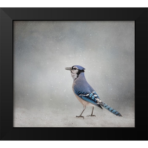 Frosty Morning Black Modern Wood Framed Art Print by Parker, Kelley