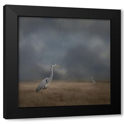 Herons Sanctuary Black Modern Wood Framed Art Print by Parker, Kelley