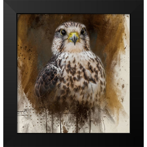 Falcon Spirit Black Modern Wood Framed Art Print by Parker, Kelley