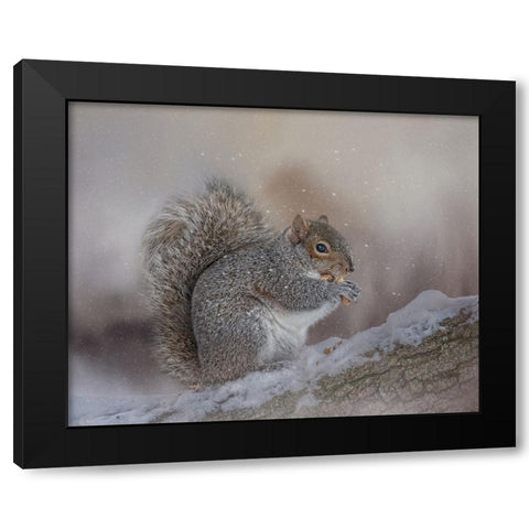 Winters Bounty Black Modern Wood Framed Art Print by Parker, Kelley