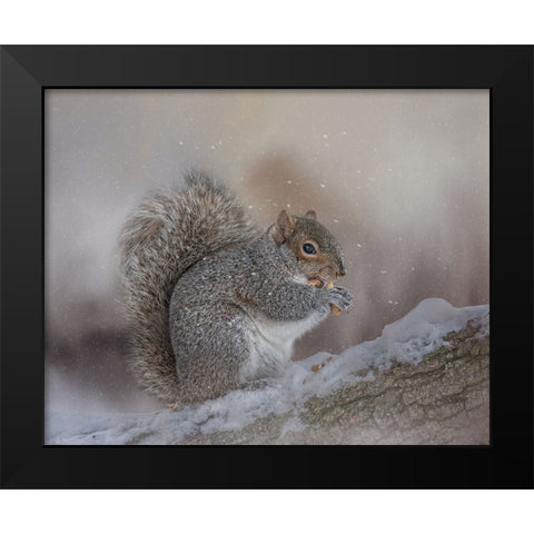 Winters Bounty Black Modern Wood Framed Art Print by Parker, Kelley