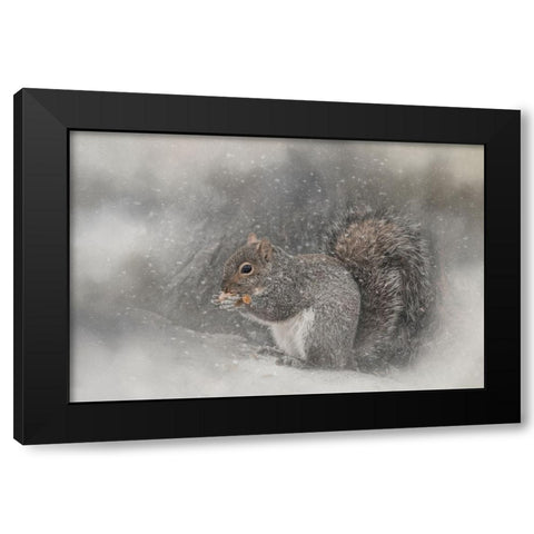 Snack Time Black Modern Wood Framed Art Print with Double Matting by Parker, Kelley