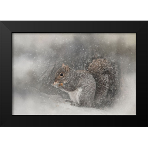 Snack Time Black Modern Wood Framed Art Print by Parker, Kelley