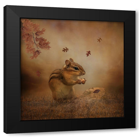 Autumn Provisions Black Modern Wood Framed Art Print with Double Matting by Parker, Kelley