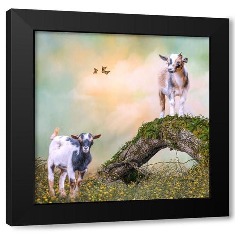 Getting a Better View Black Modern Wood Framed Art Print with Double Matting by Parker, Kelley