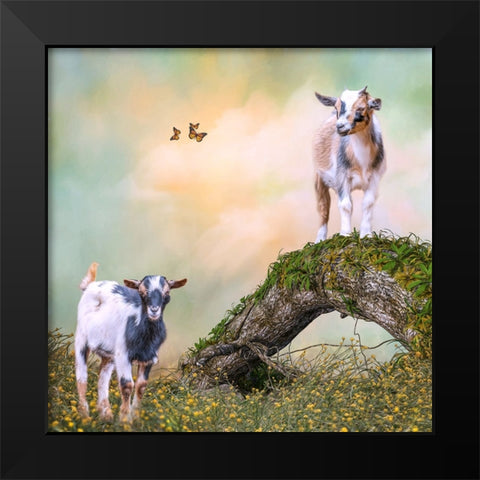 Getting a Better View Black Modern Wood Framed Art Print by Parker, Kelley