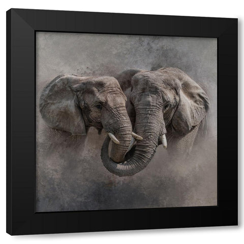 Big Hug Black Modern Wood Framed Art Print with Double Matting by Parker, Kelley