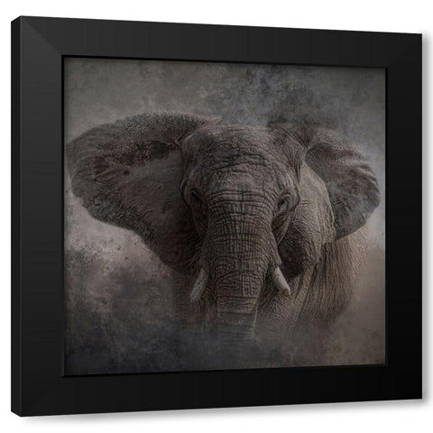Survivor Black Modern Wood Framed Art Print with Double Matting by Parker, Kelley