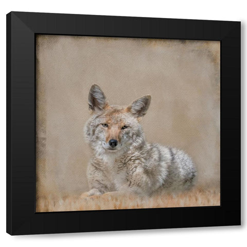 Perfect Pose Black Modern Wood Framed Art Print by Parker, Kelley
