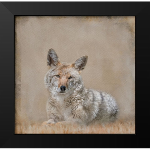 Perfect Pose Black Modern Wood Framed Art Print by Parker, Kelley