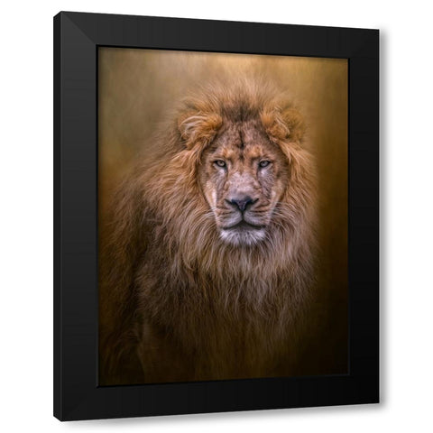 Thy Kingdom Come Black Modern Wood Framed Art Print with Double Matting by Parker, Kelley