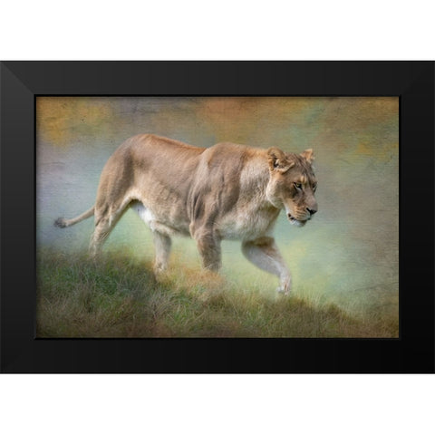 Its All Downhill Black Modern Wood Framed Art Print by Parker, Kelley