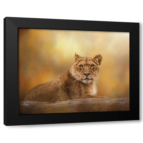 Dawning of the Day Black Modern Wood Framed Art Print with Double Matting by Parker, Kelley