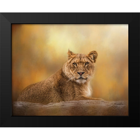 Dawning of the Day Black Modern Wood Framed Art Print by Parker, Kelley